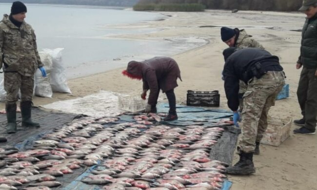 Держекоінспекція спіймала браконьєрів у заказнику на Черкащині: завдано збитків на 155 тисяч гривень