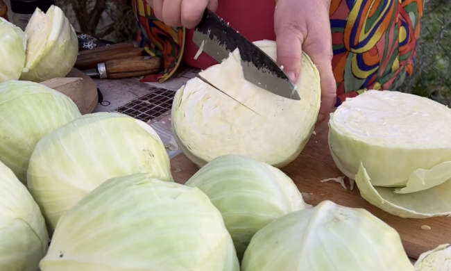капуста