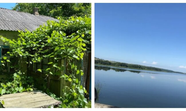 Ціна будинку всього 28 000 гривень: де в Україні можна дешево придбати житло, фото