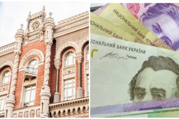 Введення «економічного паспорту» завдасть удару по всій фінансовій системі України – експерт