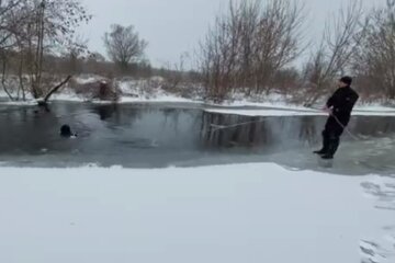 з водойми вилучено тіло восьмирічної дитини