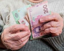 субсидия деньги пенсионер экономика