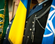 В Грузии раскрыли способ Украине попасть в НАТО без Крыма