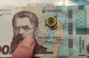 Денежная помощь для ВПЛ в Николаевской области