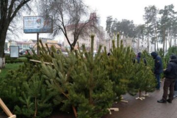 Стрельбу устроили на елочном базаре в Киеве, пуля задела случайную прохожую: детали ЧП