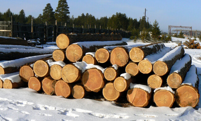 лес древесина