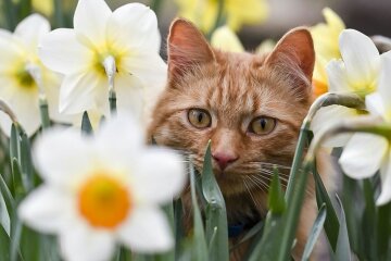 13 апреля — какой сегодня праздник и чей День ангела