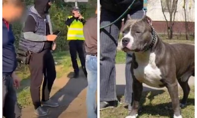 Нацькував собаку на сім'ю і розбив авто: неадекват влаштував розборки з сусідами під Одесою