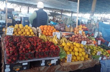 Як відрізняються ціни овочів і фруктів на ринках і в магазинах Одеси, фото: де дешевше