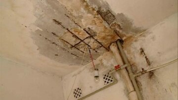 В Днепре общежитие "Укрзализныци" заполонили тараканы, плесень и зловонные запахи, кадры