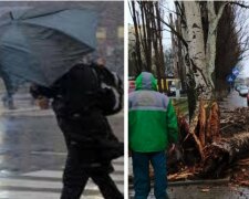 Негода накоїла лиха на Харківщині, кадри: "вітер зривав дахи і..."