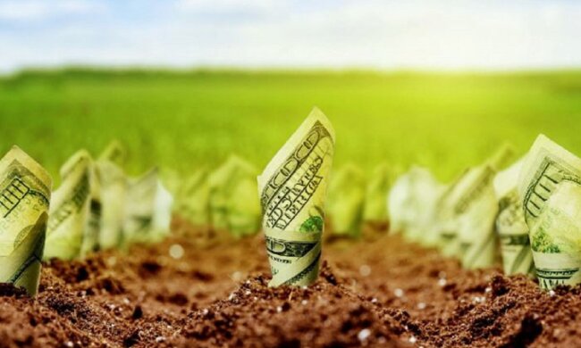 Мораторий на продажу земли в Украине