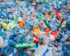 Plastic bottle recycling