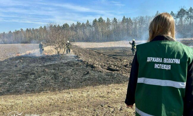 Разом зробимо екологічний контроль зрозумілим: в Україні запустили новий Telegram-канал про екологічний контроль