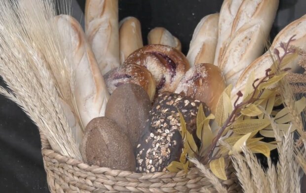 ����: politeka.net