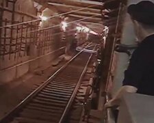 Хижак опинився в харківському метро, відео: "Забороняють знімати"