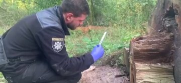 Останки человека нашли под Киевом, что известно: "Присыпали землей"