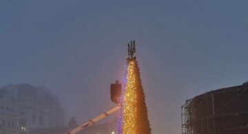 В Киеве установили главную елку страны, кадры:  засияла желто-синими огнями