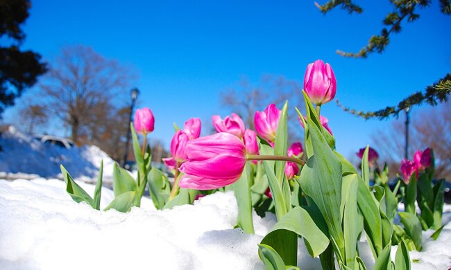 погода в Украине 7 мая