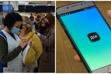 У додатку "Дія" запускають корисну послугу, що зміниться: "З появою нових правил..."