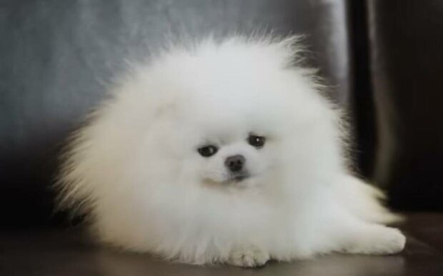  �������� ������ ������ ����� ������ �������� ���������� ������ 