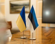 Эстония, Украина флаги