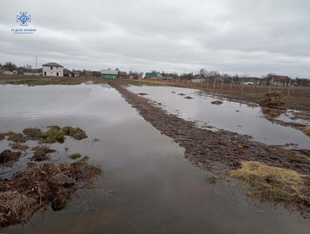 eP0tKHVibQLIe3HzE6s7QYyQP4sH82M926Q1HZmQ