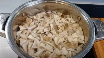 Грибы