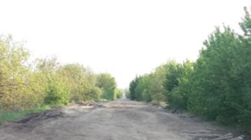 "Головне, що є напрямок": як виглядає найгірша дорога в Україні