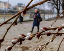 Погода в Одессе снова удивит: что будет 18 февраля