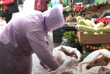 продукты, магазин, овощи и фрукты