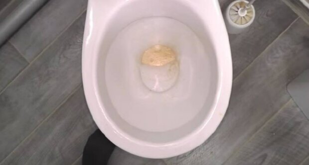 ����: politeka.net