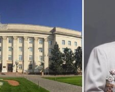 Кабмин согласовал назначение главой Херсонской ОВА чиновника времен Януковича: в сети вспомнили журналистское расследование