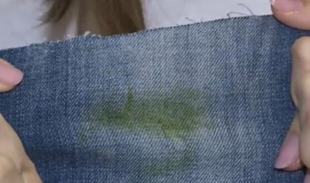 ����: politeka.net