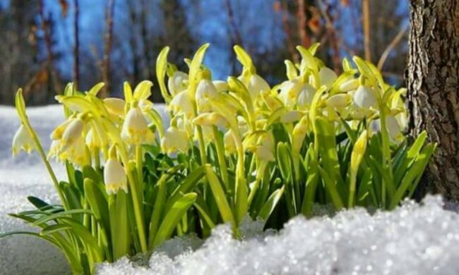 погода в Украине