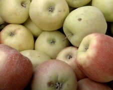Подорожчання продуктів у Харківській області