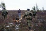пограничники