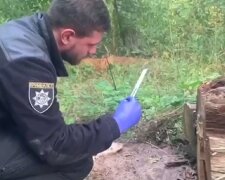 Останки человека нашли под Киевом, что известно: "Присыпали землей"