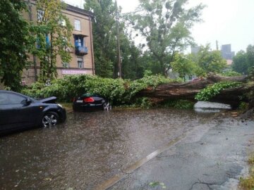 В Киеве бушует непогода: повалило деревья и затопило улицы, кадры