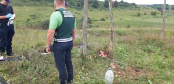 Госэкоинспекция: В Краснопольском районе незаконно подпольили косулю