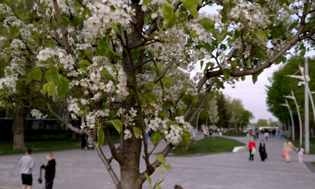 Прогноз погоди на тиждень з 30 березня по 5 квітня в Харкові