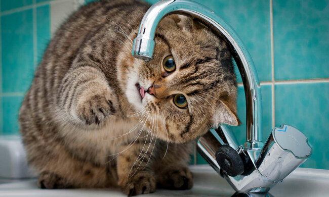 горячая вода