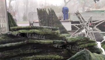 установка елки в Одессе
