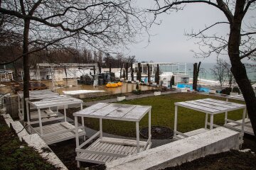 На популярном пляже в Одессе уничтожили деревья ради ресторана: кадры варварства