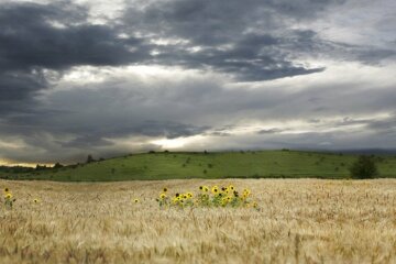 лето, гроза