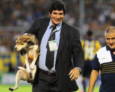 Dog-Pitch-Invader-5