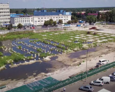 У Києві на місці недобудови з'явилося озеро, заселилися навіть качки: відео