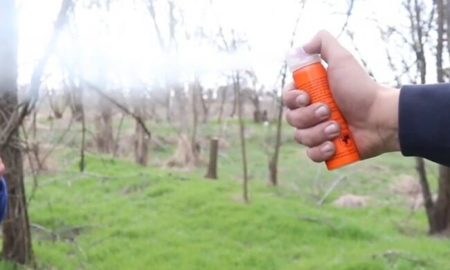 Женщина атаковала детей в Днепре, приехала скорая и полиция: "Брызнула в лицо..."