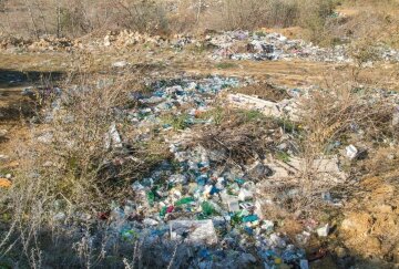 Екологічна біда обрушилася на Київську область, збитки на чверть мільярда: деталі