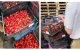 Цена на клубнику оказалась "неподъемной" для украинцев: десятки ящиков с ягодами выбросили, кадры